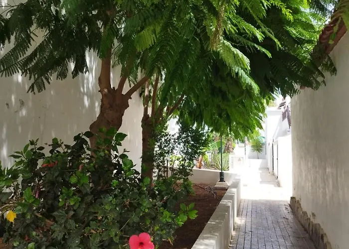 公寓 Sibil House 德尔锡伦西奥海岸